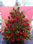 50 red roses basket